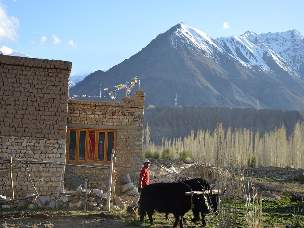 Hotel Nimmu House Ladakh Nimu Esterno foto