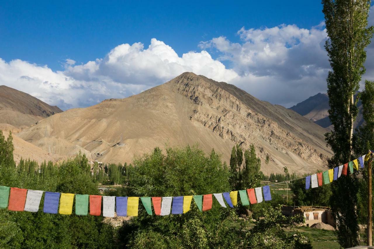 Hotel Nimmu House Ladakh Nimu Esterno foto